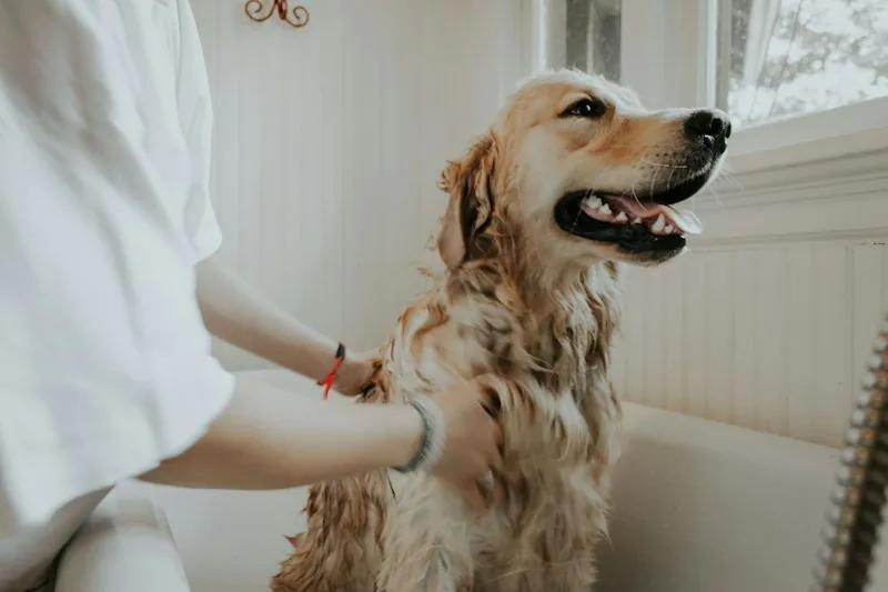 Happy smiling dog in warm bubble bath at Shampooch Spa